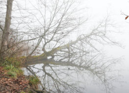 007 - spiegelung im nebel sind möglich